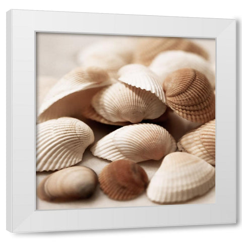 Beach Treasures I White Modern Wood Framed Art Print by Carpentieri, Natalie