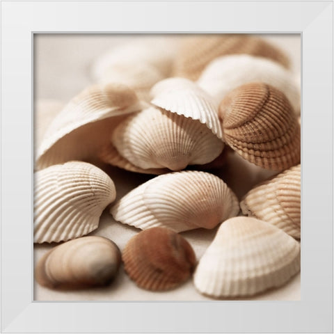Beach Treasures I White Modern Wood Framed Art Print by Carpentieri, Natalie
