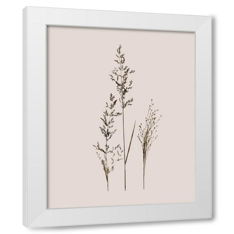 Delicate Stems I White Modern Wood Framed Art Print by Robinson, Carol