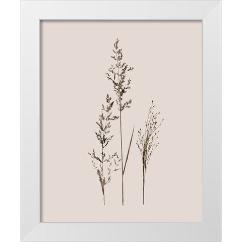 Delicate Stems I White Modern Wood Framed Art Print by Robinson, Carol