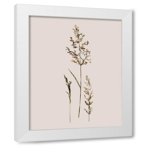 Delicate Stems II White Modern Wood Framed Art Print by Robinson, Carol