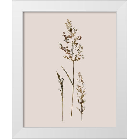 Delicate Stems II White Modern Wood Framed Art Print by Robinson, Carol