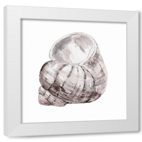 Blush Shell III White Modern Wood Framed Art Print by Robinson, Carol
