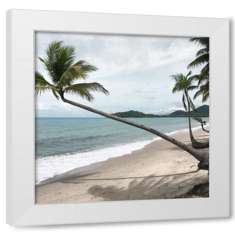 Leaning Palm White Modern Wood Framed Art Print by Robinson, Carol