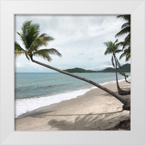 Leaning Palm White Modern Wood Framed Art Print by Robinson, Carol