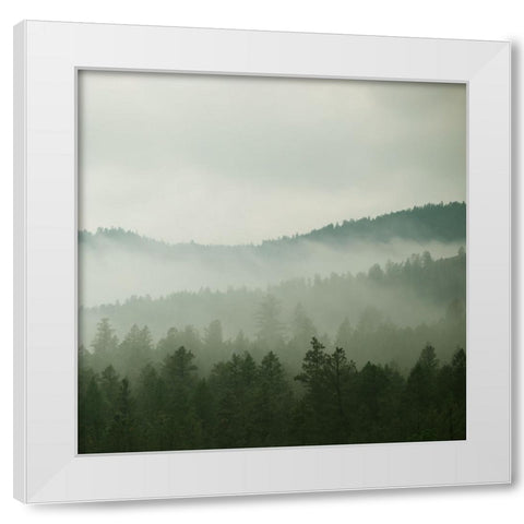 Verdant Country II White Modern Wood Framed Art Print by Robinson, Carol
