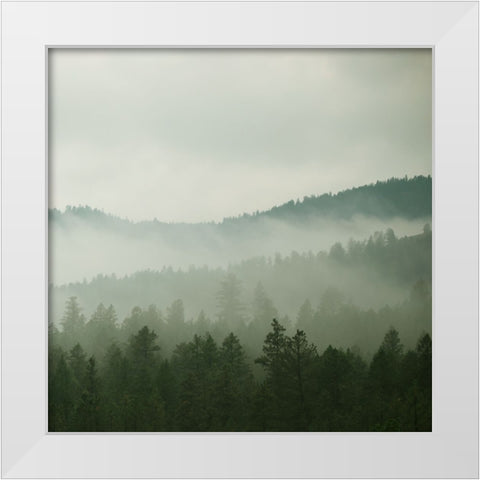 Verdant Country II White Modern Wood Framed Art Print by Robinson, Carol