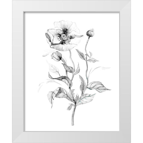 Wild Poppy White Modern Wood Framed Art Print by Robinson, Carol