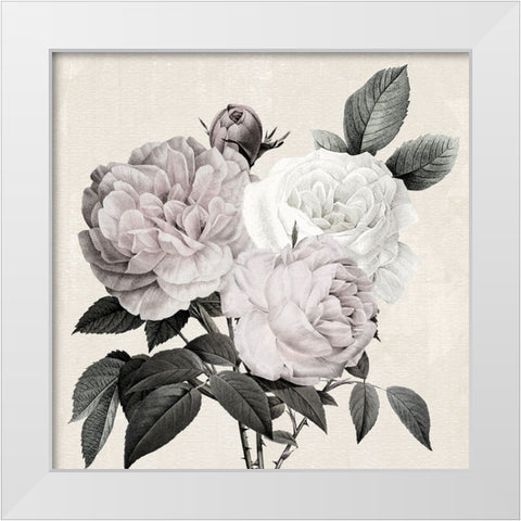 Botanical Arrangement II White Modern Wood Framed Art Print by Donovan, Kelly