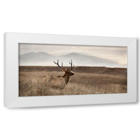Now You See Me White Modern Wood Framed Art Print by Delimont, Danita