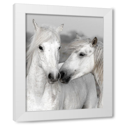 Affection I White Modern Wood Framed Art Print by Delimont, Danita