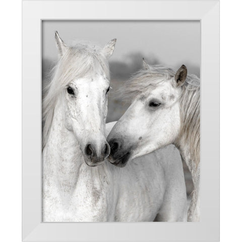 Affection I White Modern Wood Framed Art Print by Delimont, Danita