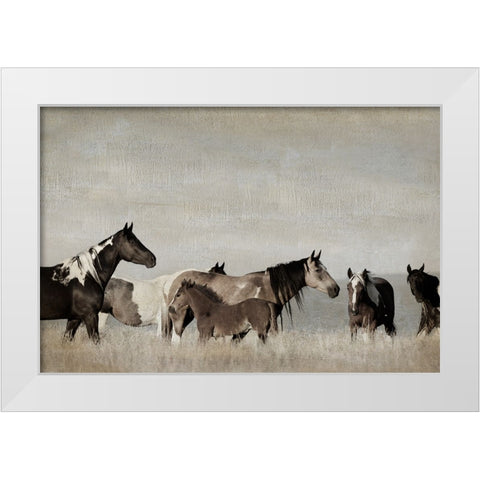 Ranging Free White Modern Wood Framed Art Print by Delimont, Danita