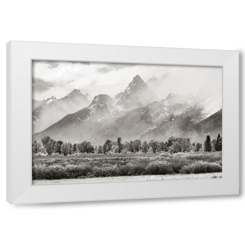 Teton Range White Modern Wood Framed Art Print by Delimont, Danita