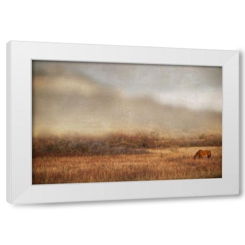 Grazing at Sunset White Modern Wood Framed Art Print by Delimont, Danita