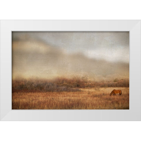 Grazing at Sunset White Modern Wood Framed Art Print by Delimont, Danita