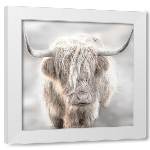 Soft Solo Highland White Modern Wood Framed Art Print by Delimont, Danita