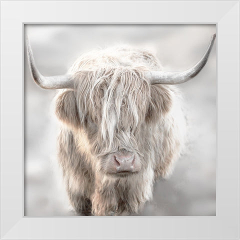 Soft Solo Highland White Modern Wood Framed Art Print by Delimont, Danita