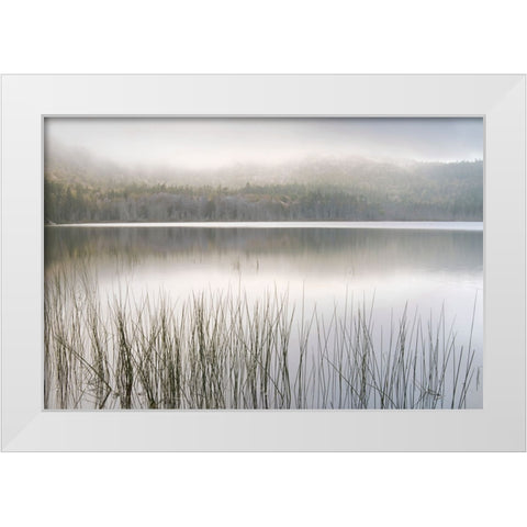 Lake Fog White Modern Wood Framed Art Print by Delimont, Danita