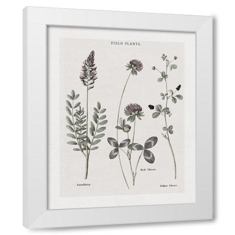 Multi Botanical II White Modern Wood Framed Art Print by Donovan, Kelly