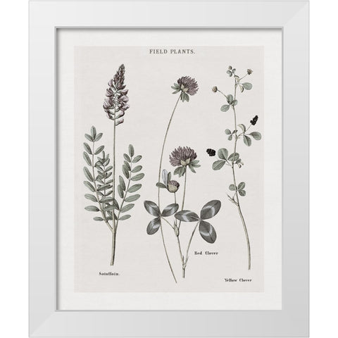 Multi Botanical II White Modern Wood Framed Art Print by Donovan, Kelly