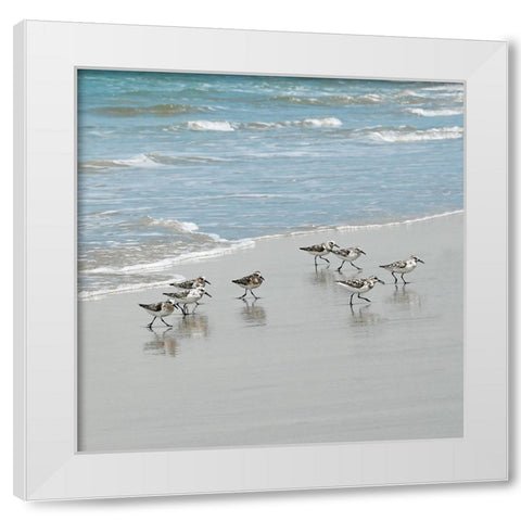 Sandpiper Shore I White Modern Wood Framed Art Print by Carpentieri, Natalie