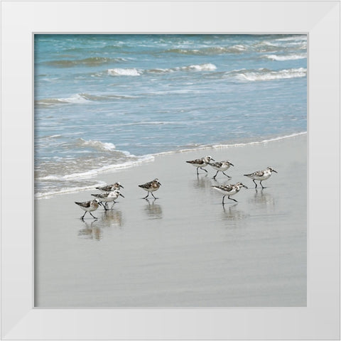 Sandpiper Shore I White Modern Wood Framed Art Print by Carpentieri, Natalie