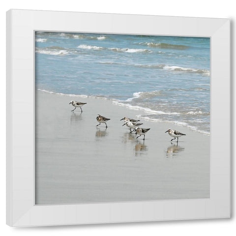Sandpiper Shore II White Modern Wood Framed Art Print by Carpentieri, Natalie