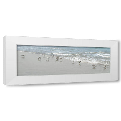 Shorebirds White Modern Wood Framed Art Print by Carpentieri, Natalie