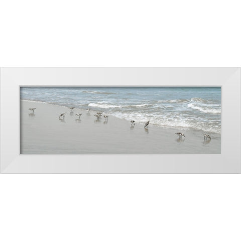 Shorebirds White Modern Wood Framed Art Print by Carpentieri, Natalie