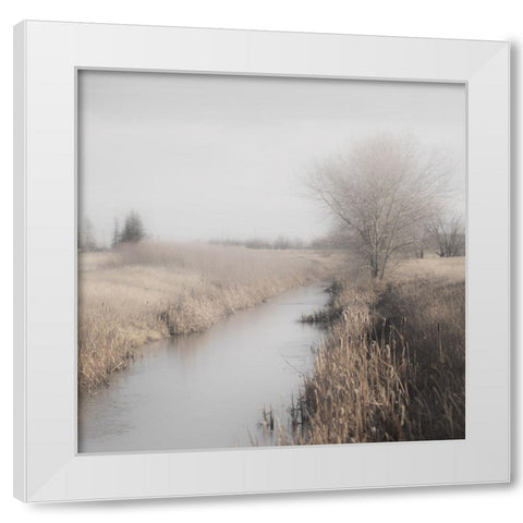 Misty Cattails White Modern Wood Framed Art Print by Robinson, Carol