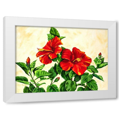 Red Hibiscus White Modern Wood Framed Art Print by Segrest, Jane