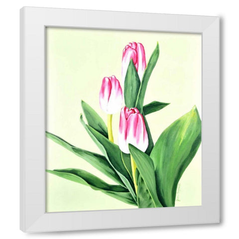 Three Tulips White Modern Wood Framed Art Print by Segrest, Jane