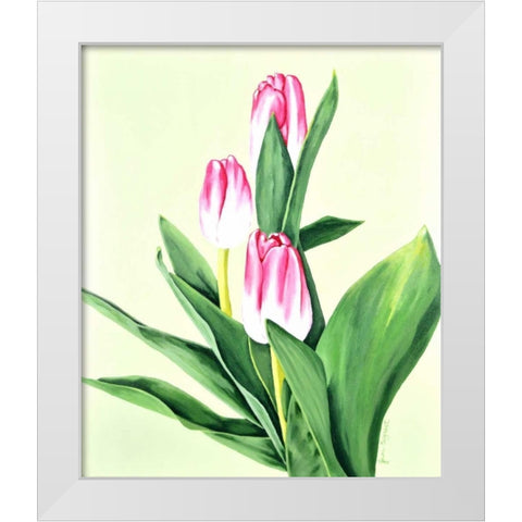 Three Tulips White Modern Wood Framed Art Print by Segrest, Jane