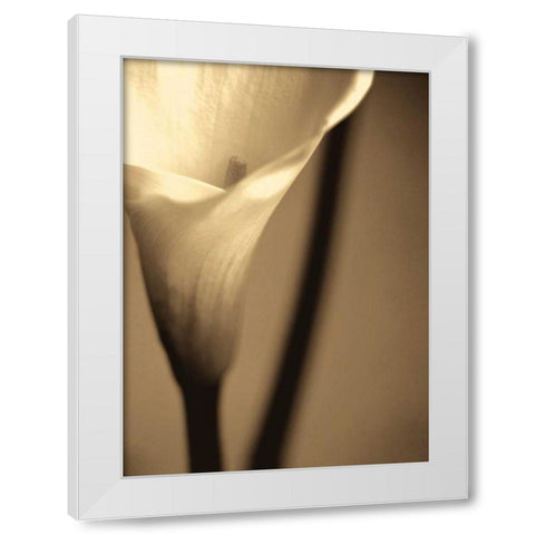 Divinity I White Modern Wood Framed Art Print by Ryan, Cinzia