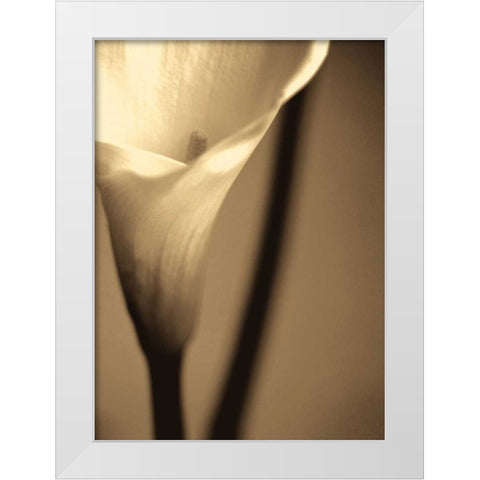 Divinity I White Modern Wood Framed Art Print by Ryan, Cinzia