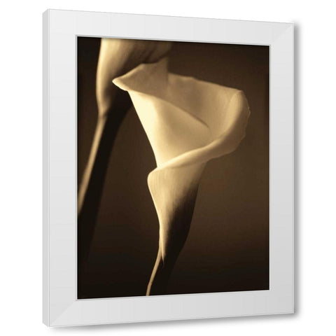 Divinity II White Modern Wood Framed Art Print by Ryan, Cinzia