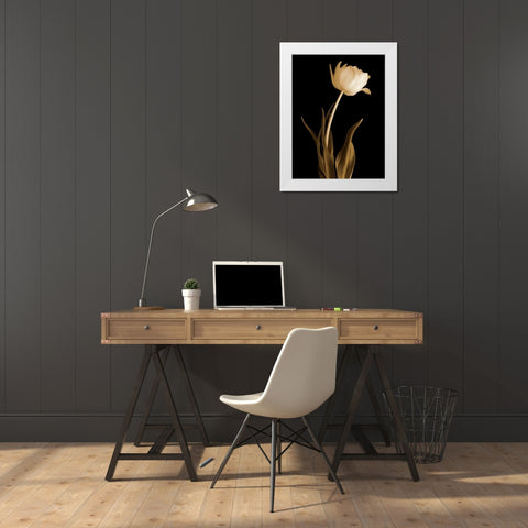Classic Beauty White Modern Wood Framed Art Print by Britt, Charles