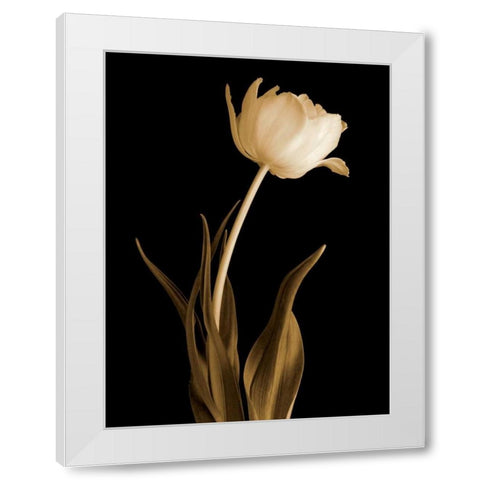 Classic Beauty White Modern Wood Framed Art Print by Britt, Charles