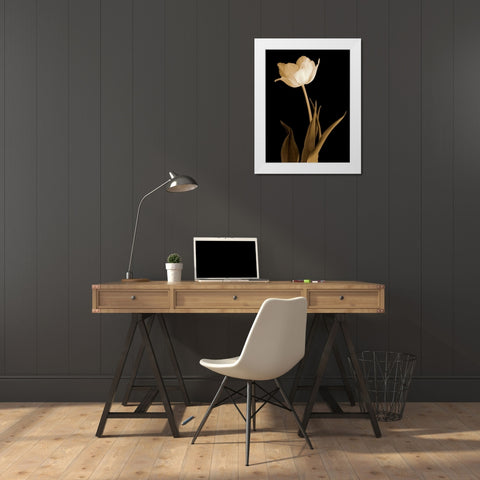 Splendid Beauty White Modern Wood Framed Art Print by Britt, Charles