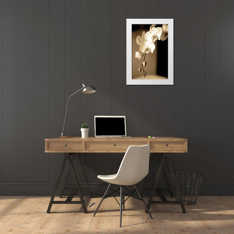 Exotic Blooms White Modern Wood Framed Art Print by Ryan, Cinzia