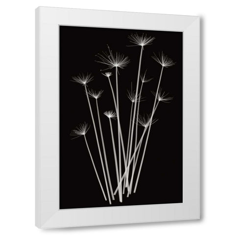 Three Rushes White Modern Wood Framed Art Print by Wehtje, Jim