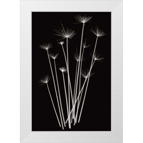 Three Rushes White Modern Wood Framed Art Print by Wehtje, Jim