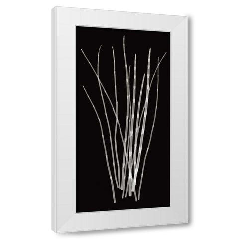 Three Rushes White Modern Wood Framed Art Print by Wehtje, Jim