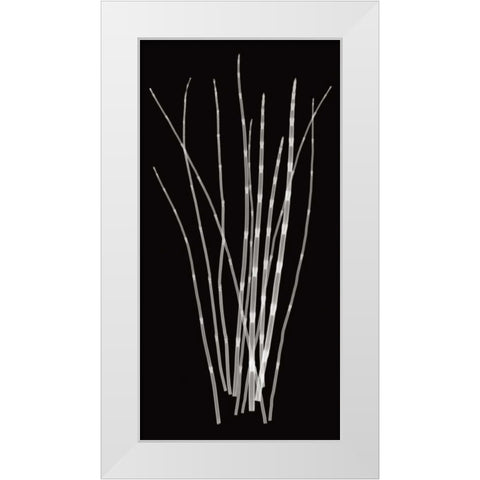 Three Rushes White Modern Wood Framed Art Print by Wehtje, Jim
