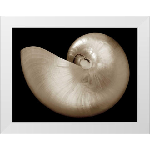 Ocean Keepsake I White Modern Wood Framed Art Print by Britt, Charles