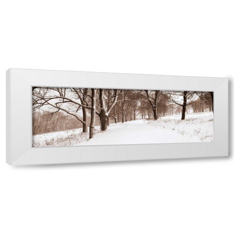 First Snow I White Modern Wood Framed Art Print by Sleeper, Mike