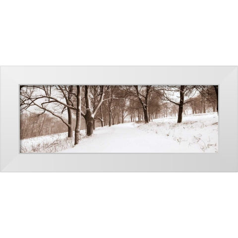First Snow I White Modern Wood Framed Art Print by Sleeper, Mike