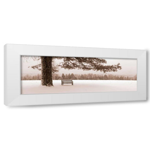 First Snow II White Modern Wood Framed Art Print by Sleeper, Mike
