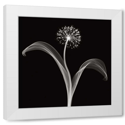 Into the Night I White Modern Wood Framed Art Print by Wehtje, Jim